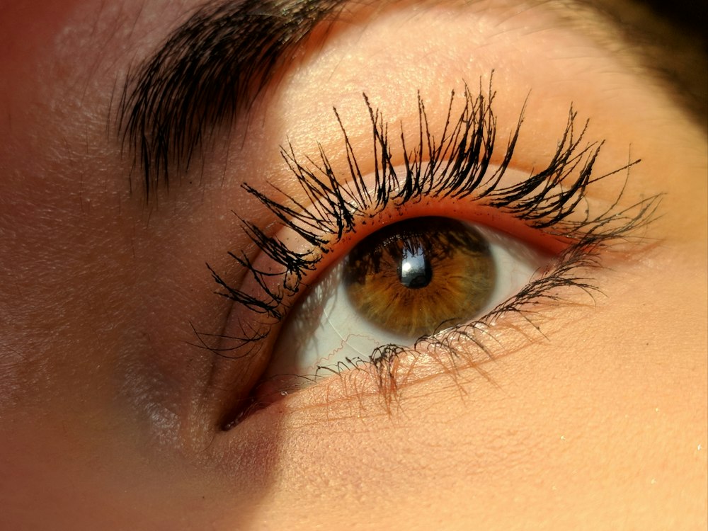 Eye.fleek